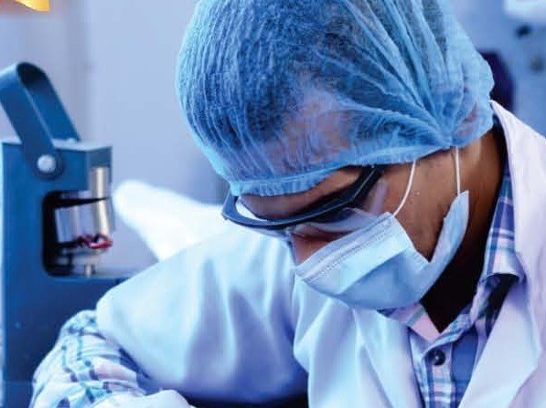 Grain analysis under magnification in the quality lab